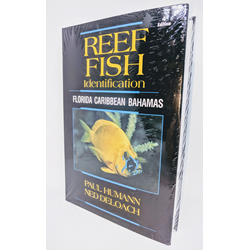 Reef Fish Identification (florida & Caribbean)